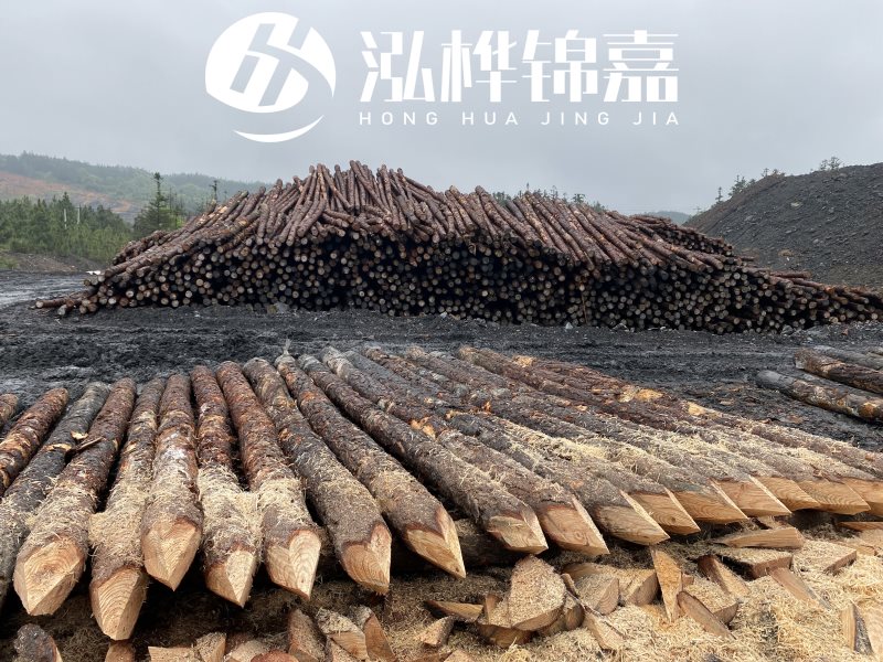 6米長(zhǎng)松木樁有哪些作用，多少錢(qián)一根？