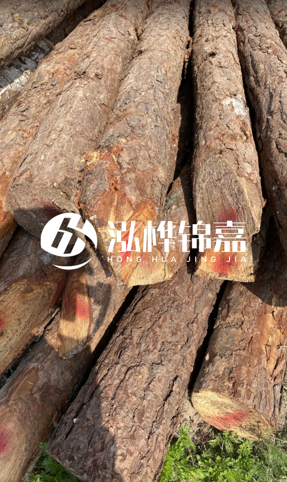 <strong>松木樁和杉木樁的用途區(qū)別？哪個(gè)更適合打樁用？</strong>