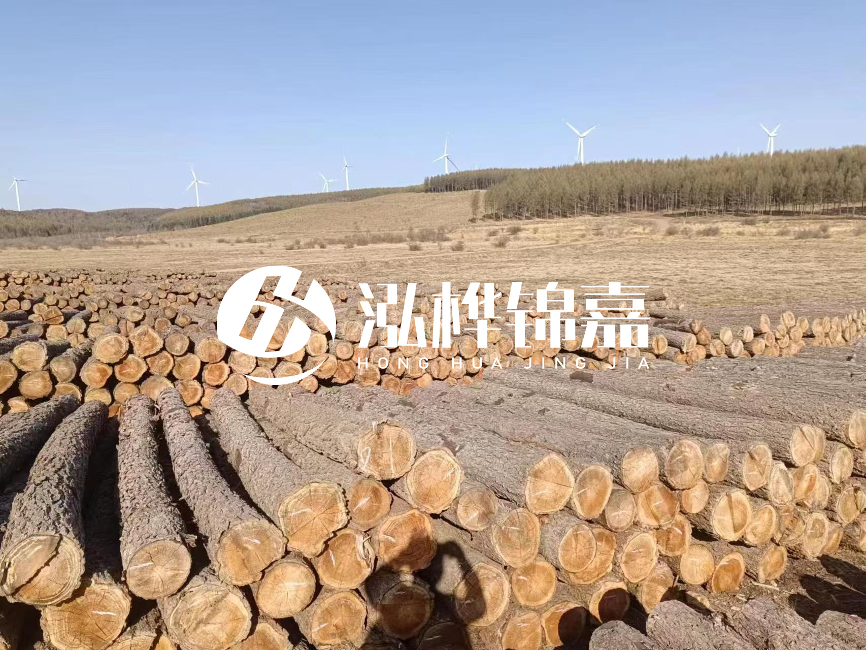 咸寧松木樁源頭廠家-哪里能買到質(zhì)量好的松木樁打樁木？