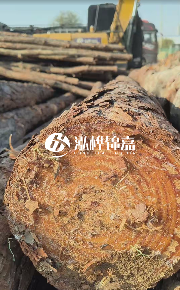 杉木樁價(jià)格多少錢一方-3米直徑14公分杉木樁價(jià)格？