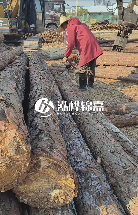長沙打樁木批發(fā)廠家在哪里？聯(lián)系方式是什么？