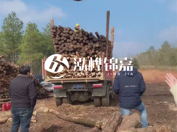 松木樁價格是按米算還是按根算？6米松木樁批發(fā)價每根多少錢？