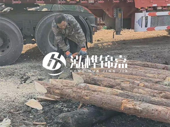 松木圓木價格大概多少一方-松木樁廠家按方可以賣嗎？