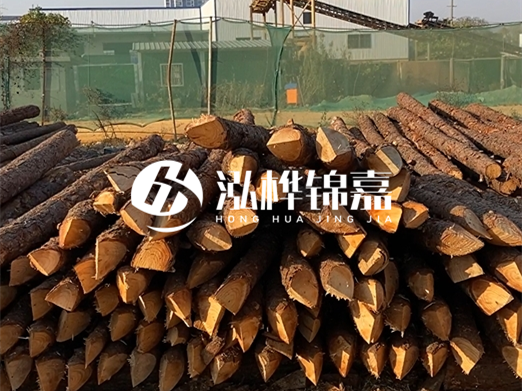 松木樁6米15cm打樁多少錢一根-專業(yè)打木樁隊聯系電話？