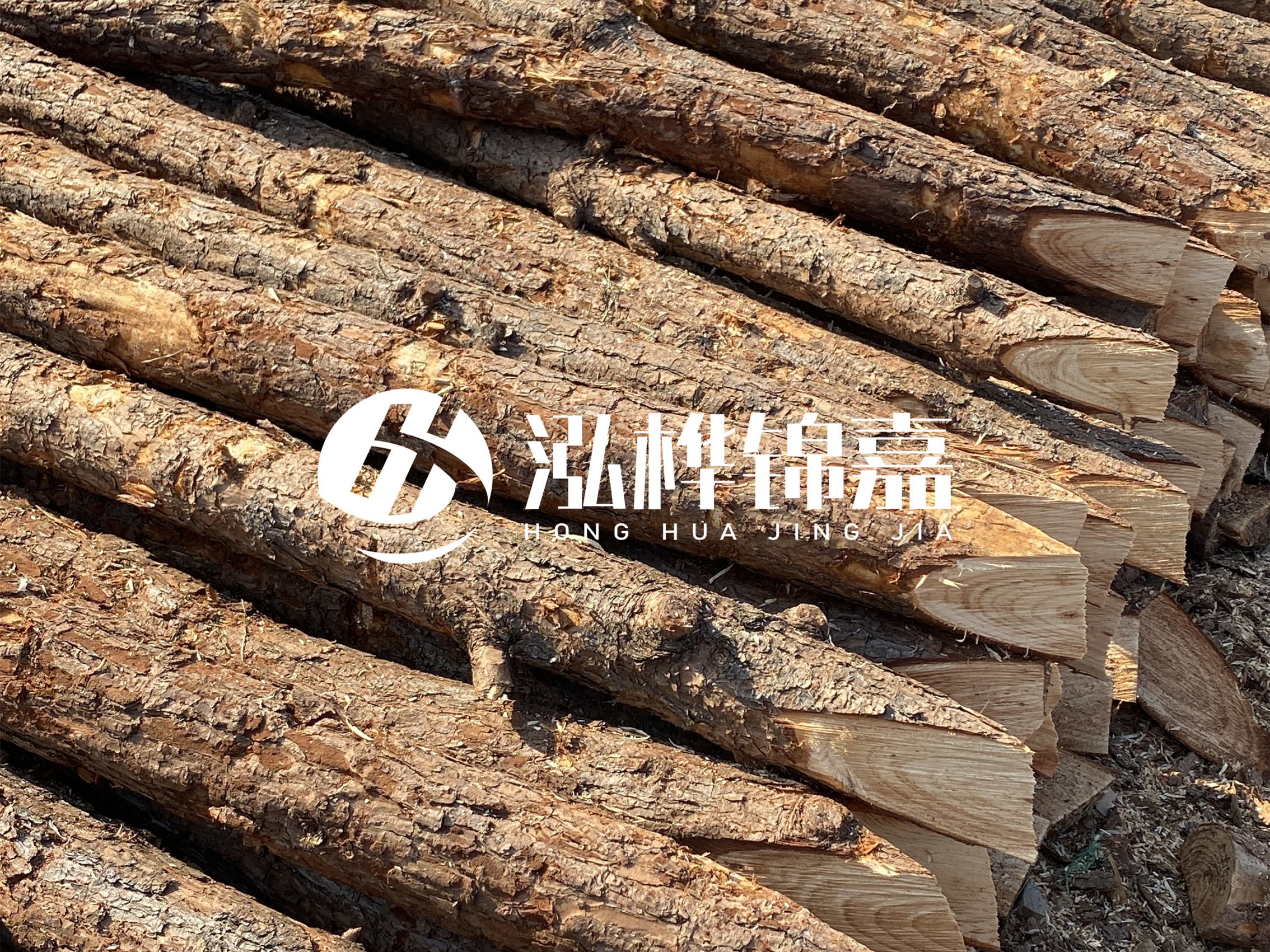 8 米超大直徑松木樁的價格是多少？帶皮和去皮松木樁價格差多少？