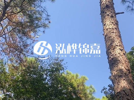 松木樁廠家泓樺錦嘉可以實地考察嗎？需要提前預(yù)約嗎？