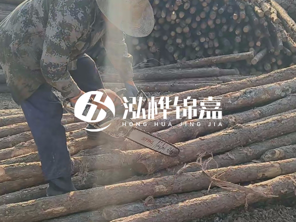 廣東打樁木源頭廠家泓樺錦嘉 - 如何選擇適合特定邊坡的松木樁？