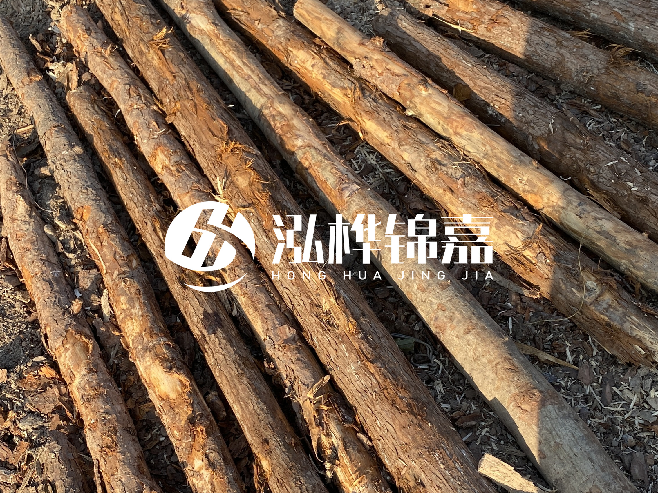 河道木樁多少錢(qián)一根？河道木樁的使用以及保養(yǎng)方法?