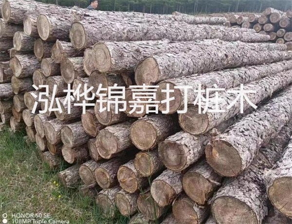 高效修補，保駕護航！水泥路面高強度修補料為您解決煩惱！