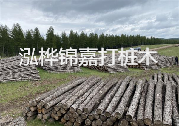 鋼結構施工方案大全免費提供，助力工程建設