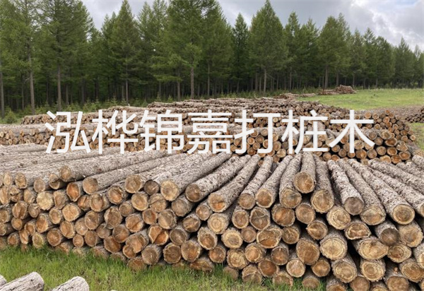 松木樁能施工嗎？探究視頻揭秘真相！