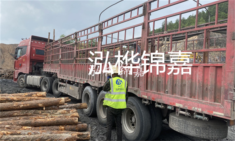 定安河道仿松木樁施工，打造環(huán)保生態(tài)水域