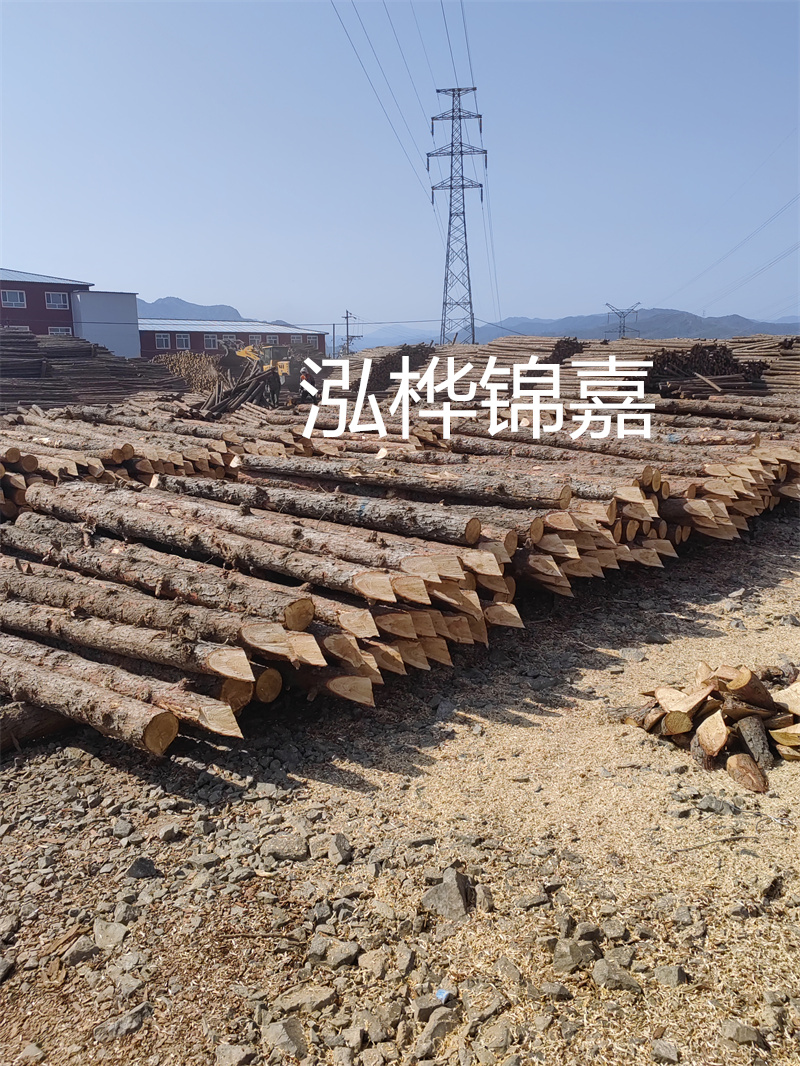 深入了解松木樁基礎(chǔ)施工單價，助力工程建設(shè)順利進(jìn)行！