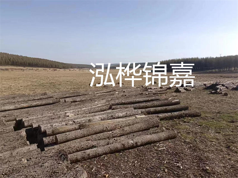鄂州松木樁哪里好？推薦泓樺錦嘉松木樁業(yè)！