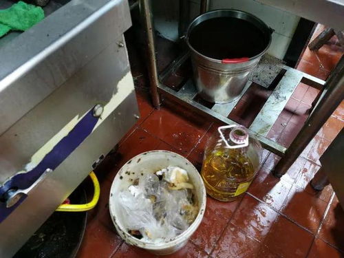 餐飲復(fù)工調(diào)查 積壓庫存引擔憂，服務(wù)安全需關(guān)注