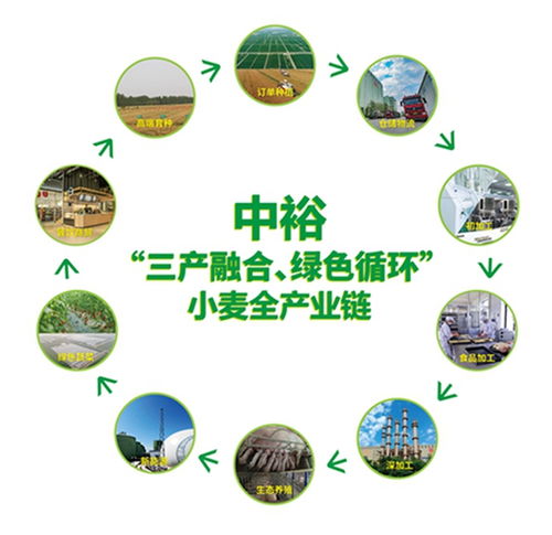 山東濱州 向綠向新，探索餐飲服務業(yè)高質量發(fā)展新路徑