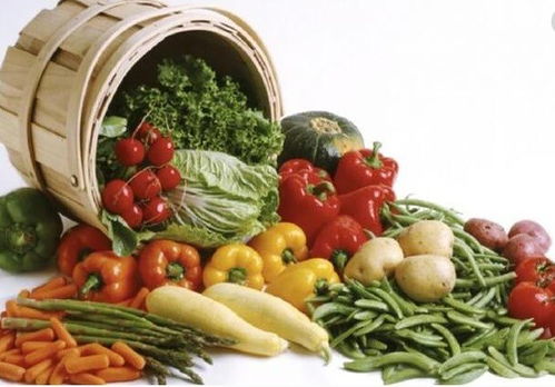 上海寶山至天津?qū)I(yè)冷鏈配送服務(wù)指南，助力餐飲企業(yè)高效運(yùn)營